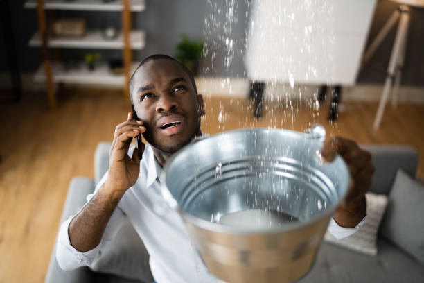 Best Water damage restoration near me  in Louisburg, NC
