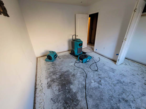 Best Flood damage cleanup  in Louisburg, NC