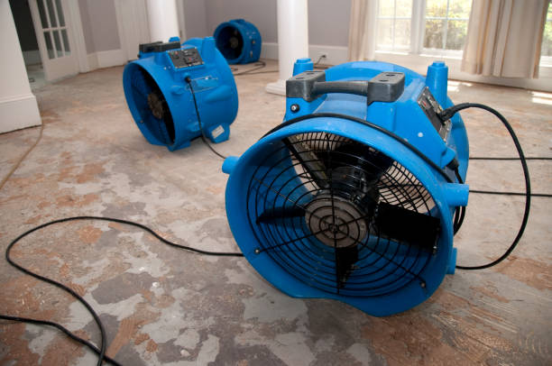 Fire Damage Restoration in Louisburg, NC