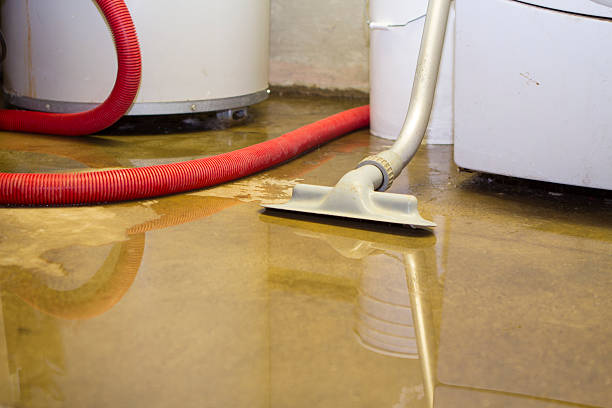  Louisburg, NC Water damage restoration Pros