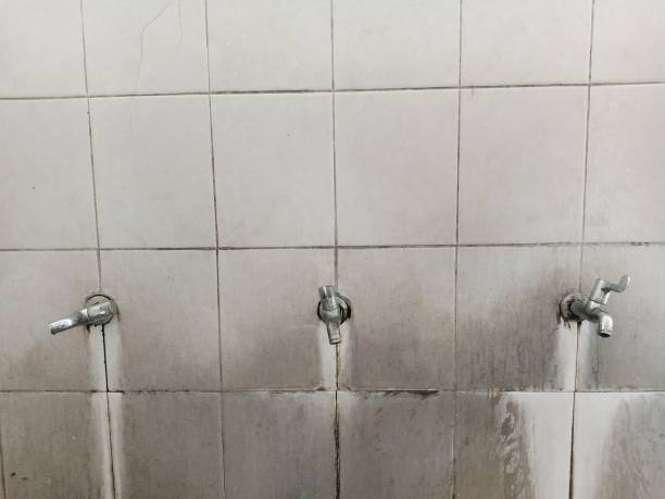 Best Professional water damage repair  in Louisburg, NC