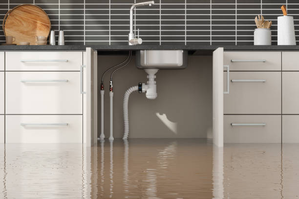 Best Basement water damage restoration  in Louisburg, NC