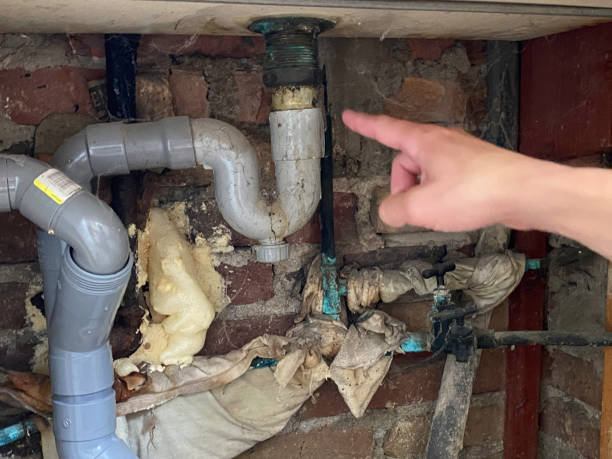 Best Water damage restoration near me  in Louisburg, NC
