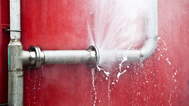 Best Water damage cleanup near me  in Louisburg, NC