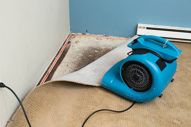 Best Water damage cleanup near me  in Louisburg, NC